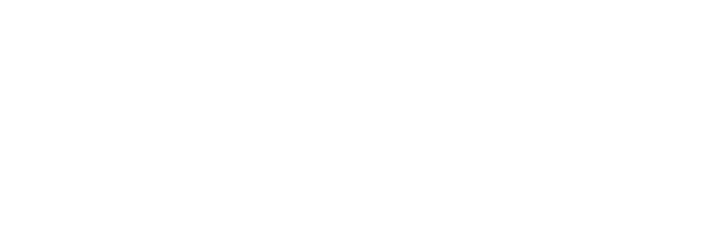 55+ logo